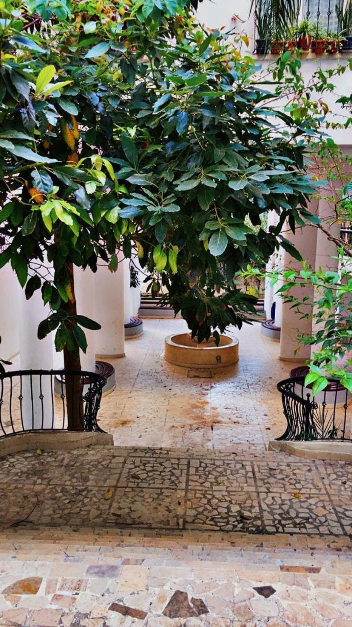 Apartment Au Coeur De A Pied Tangier